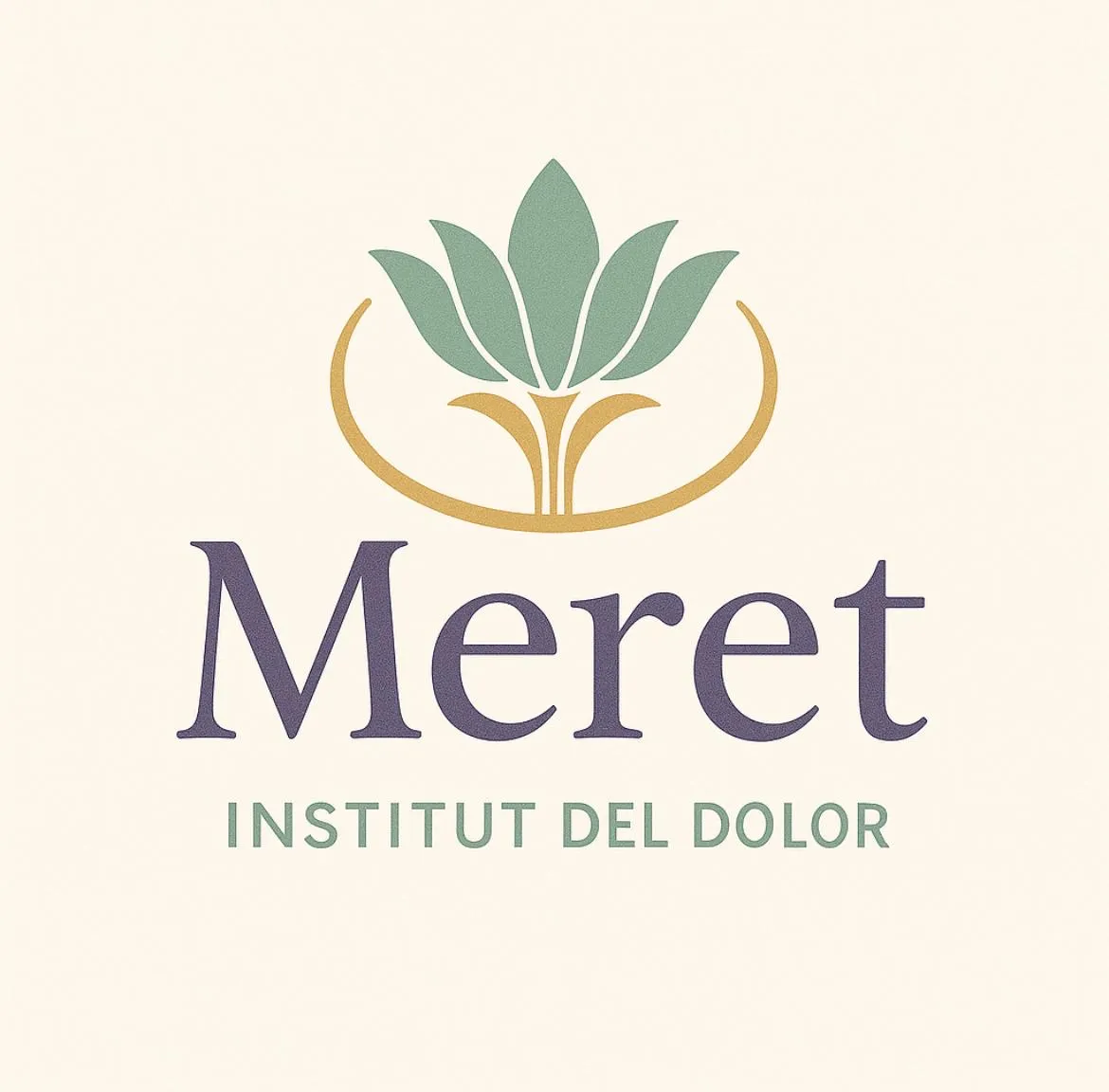 Meret Institut del Dolor