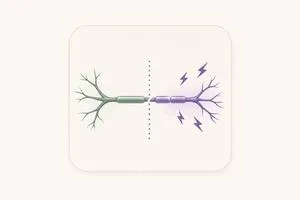 Dolor neuropático