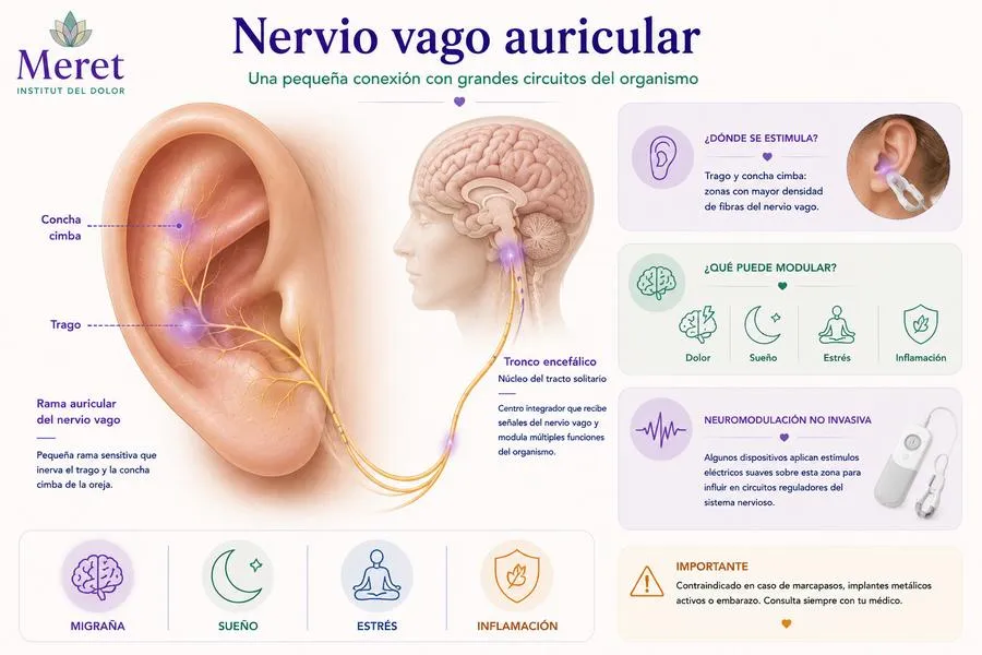 Estimulación vagal auricular taVNS