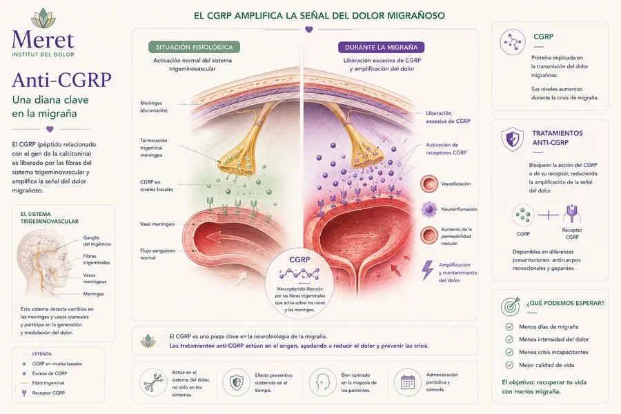 Anticuerpos monoclonales anti-CGRP